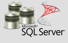 Microsoft Sql Server Database Development Compan