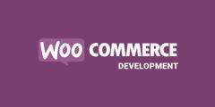 Woocommerce Web Development Services