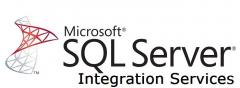 Sql Server Integration Services