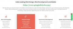 Chennai web design company Ping Infotech pvt ltd We