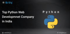 Top Python Web Development Company In India