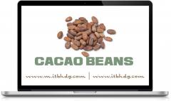 Fda Registration Cacao Products
