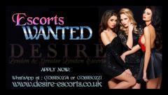 Incall Outcall Escorts Wanted - Apply Today - Bu