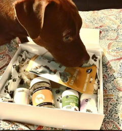 Online Dog Training Treats and Health Supplements in UK