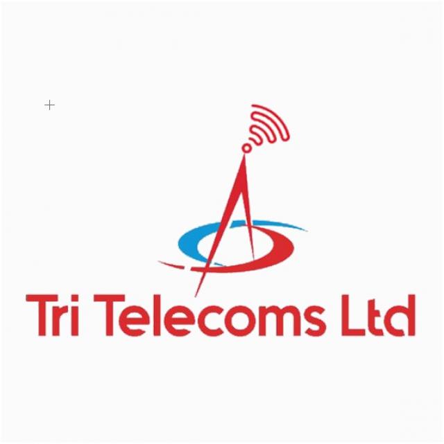 Telecom limited. Service Telecom Ltd. Tamilnadu Telecommunication Limited.