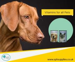 Essential Vitamins and Supplements for Pets SPH Supply