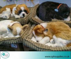 Buy Best Dogs Accessories Products Online SPH Supplies