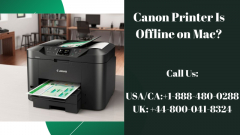 Canon Printer Offline on Mac Call To Fix 44-8000418324