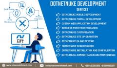Dotnetnuke Development Company India