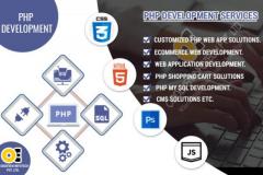 Outstanding Php Development Services In India