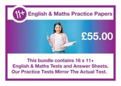 11 plus practice papers from schooltests.org