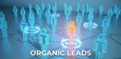 Organic Leads Generation Services