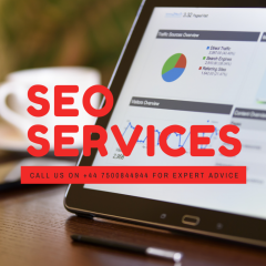 Expert Seo Services - V1 Technologies