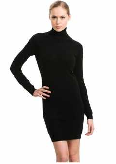Citizen Cashmere Long Sleeve Turtleneck Dress for Women