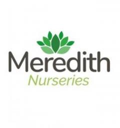 Meredith Nurseries
