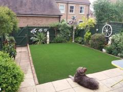 Known For Best Team To Install Artificial Grass 