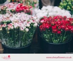 Avail Cheap Fresh Flowers in London