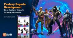 Fantasy Esports Software Development