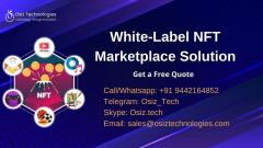 Launch Your Nft Marketplace With Our White Label