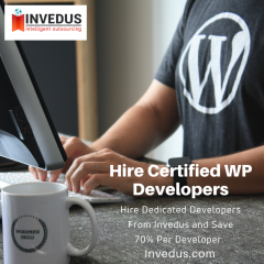 Hire Wordpress Developers From India