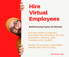 Hire Dedicated Virtual Employees From India