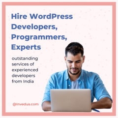 Hire Top Wordpress Developers - Work With Top 3 