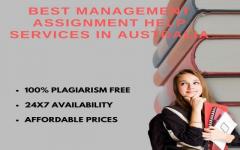 Management Assignment Help Writing Services In U