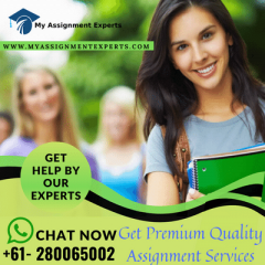 No. 1 Assignment Help And Essay Writing Services