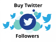 Buy Real Twitter Followers From Famups