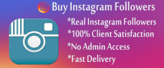 Buy Cheap Instagram Followers