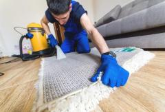 Our Cleaners Remove Stains From Rugs And Carpets