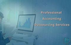 Professional Service Provider To Outsource Accou