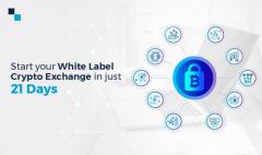 Diligently Crafted Whitelabel Bitcoin Exchange P