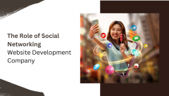 The Role Of A Social Networking Website Developm