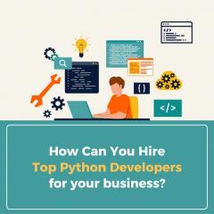 How Can You Hire Top Python Developers For Your 