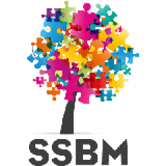 Ssbm - Digital Marketing Agency In Sussex