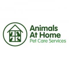 Animals at Home Essex Central