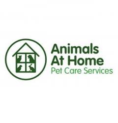 Animals At Home Taunton And South Somerset