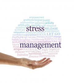 In Person And Online Stress Therapy Services In 