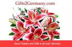 Send best Christmas Gifts to Germany Online at Low Cost