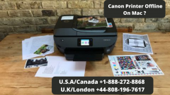 Fix Canon Printer Is Offline Mac Error  Call 44-