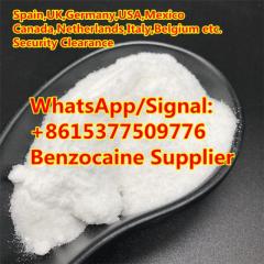 Benzocaine Anesthetic Local Powder Supplier Benz