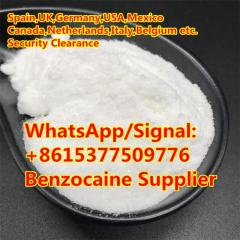99 Purity Benzocaine Usp Bp Standard Security Cl
