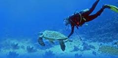 Your Ultimate Paphos Diving Destination: Pissour