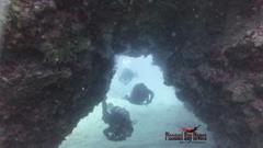 Explore The Depths: Larnaca Diving Packages With