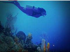 Paphos Diving Delight: Underwater Adventures Wit