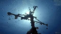 Explore Jubilee Shoals Premier Dive Site In Cypr