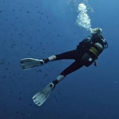 Discover Pissouri Bay Divers  Padi Scuba Diver T