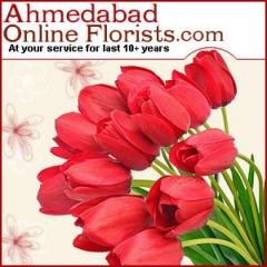 Send Fathers Day Gifts To Ahmedabad Same Day