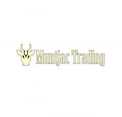 Muntjac Trading